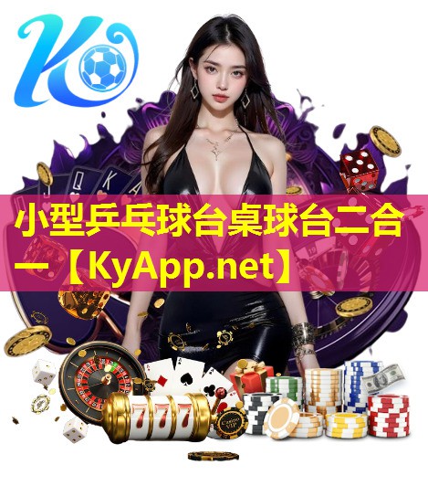 小型乒乓球台桌球台二合一