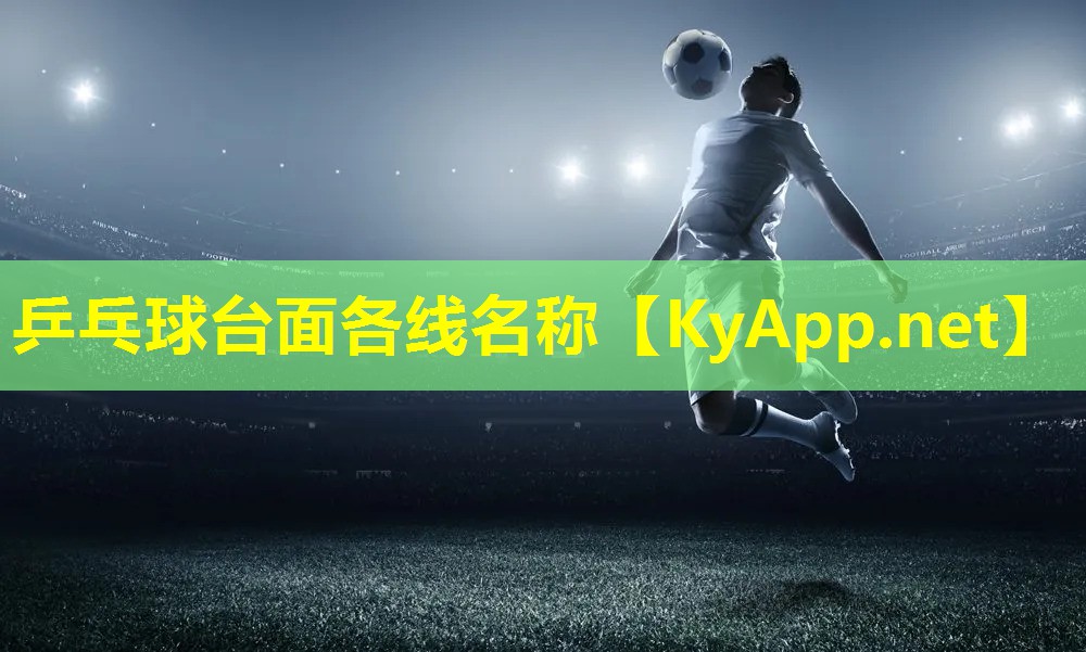 乒乓球台面各线名称