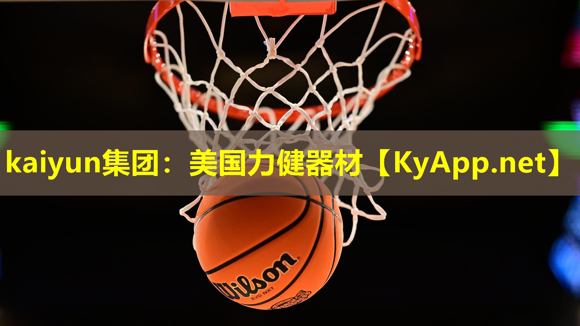 kaiyun集团：美国力健器材