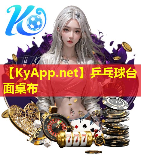 乒乓球台面桌布