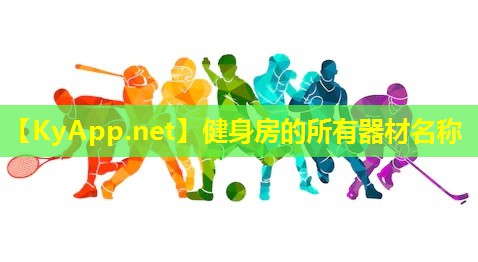 健身房的所有器材名称