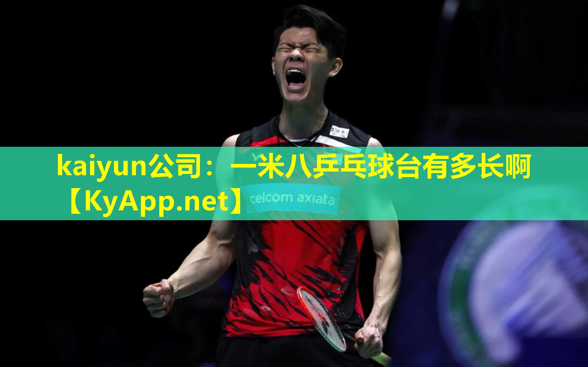 kaiyun公司：一米八乒乓球台有多长啊