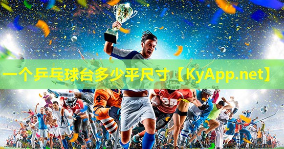 一个乒乓球台多少平尺寸
