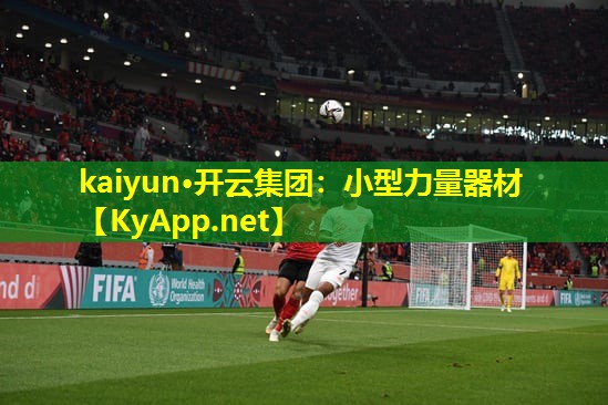 kaiyun·开云集团：小型力量器材
