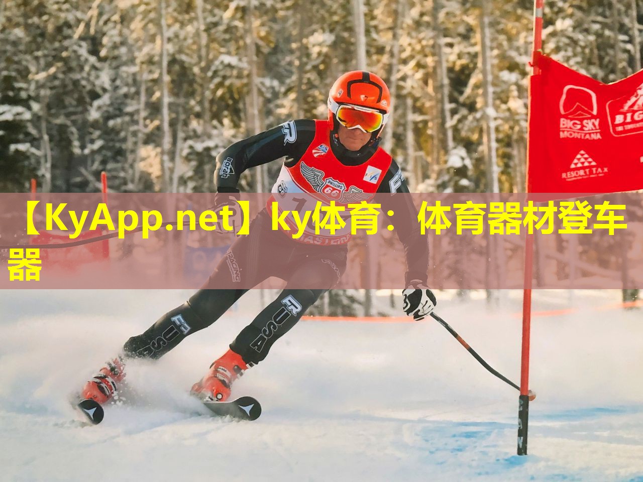 ky体育：体育器材登车器