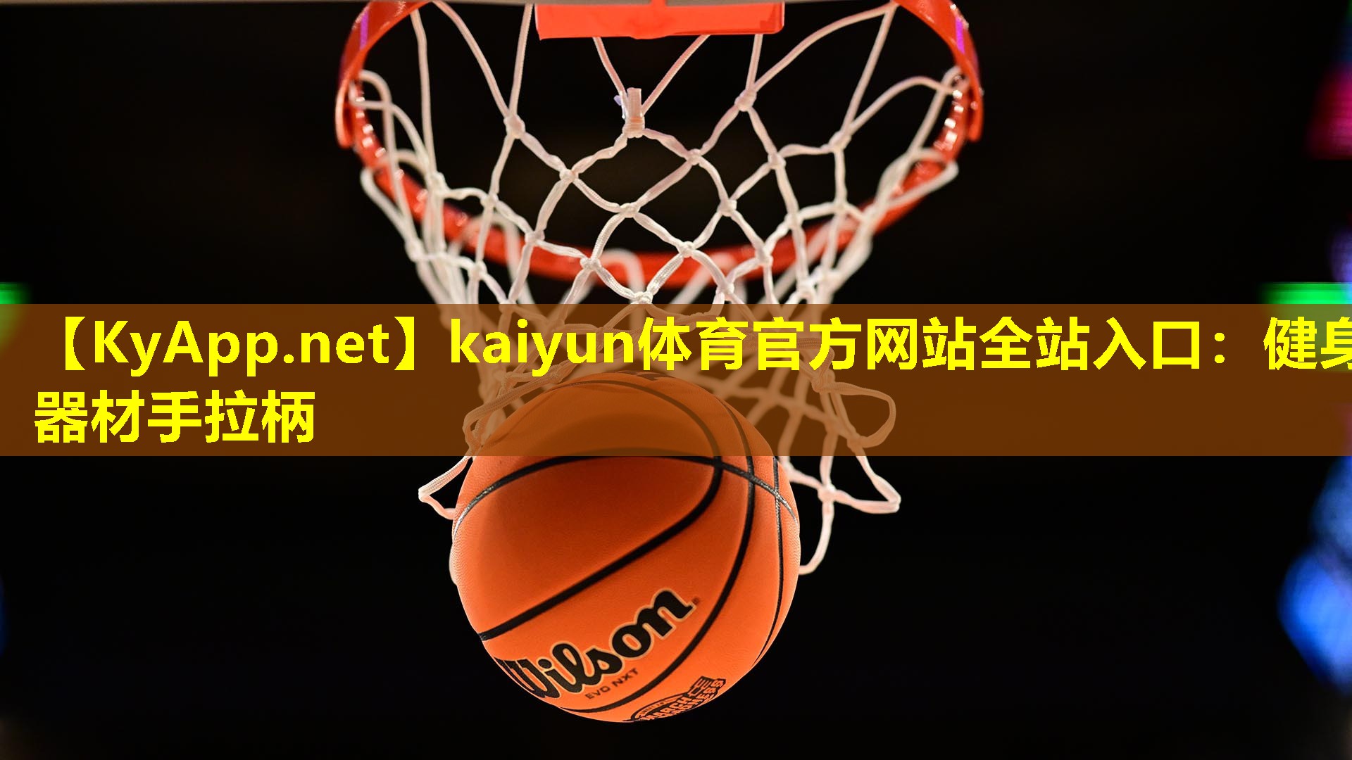 kaiyun体育官方网站全站入口：健身器材手拉柄
