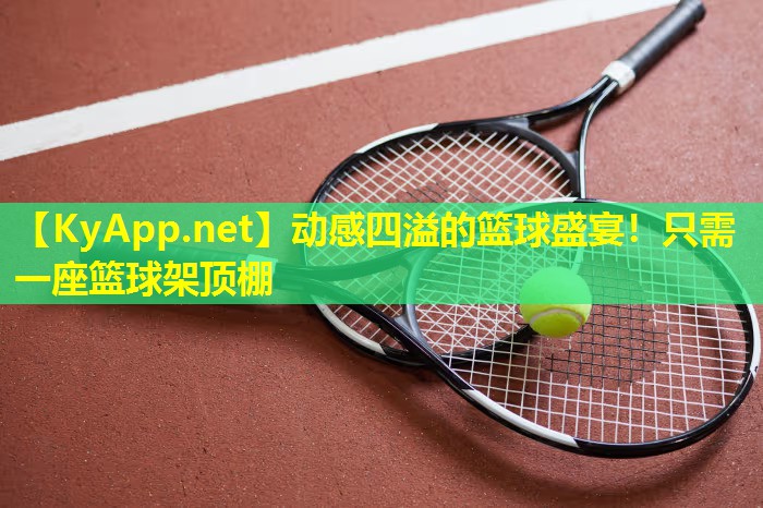 动感四溢的篮球盛宴！只需一座篮球架顶棚