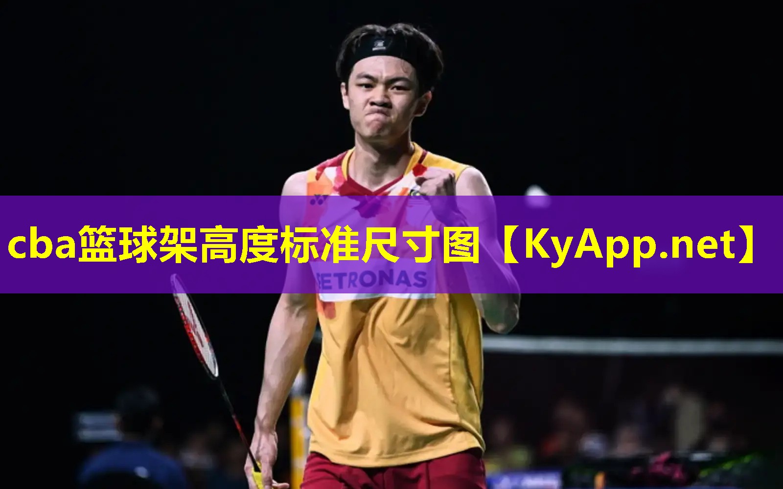 cba篮球架高度标准尺寸图