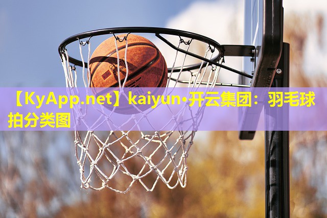 kaiyun·开云集团：羽毛球拍分类图