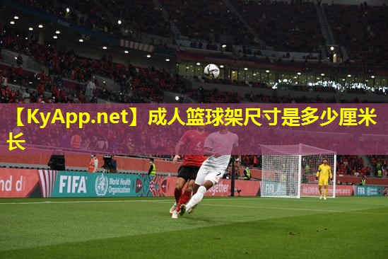 成人篮球架尺寸是多少厘米长