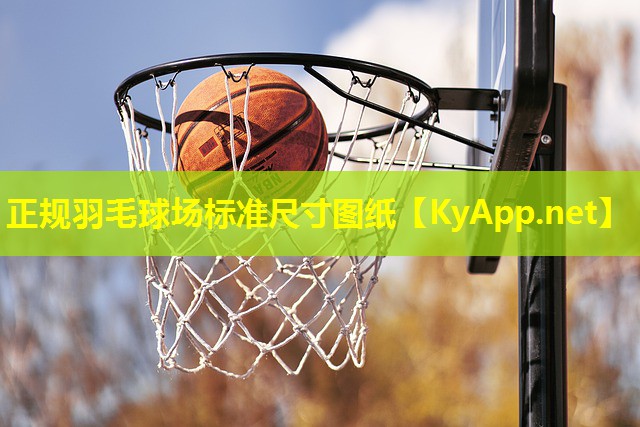 正规羽毛球场标准尺寸图纸