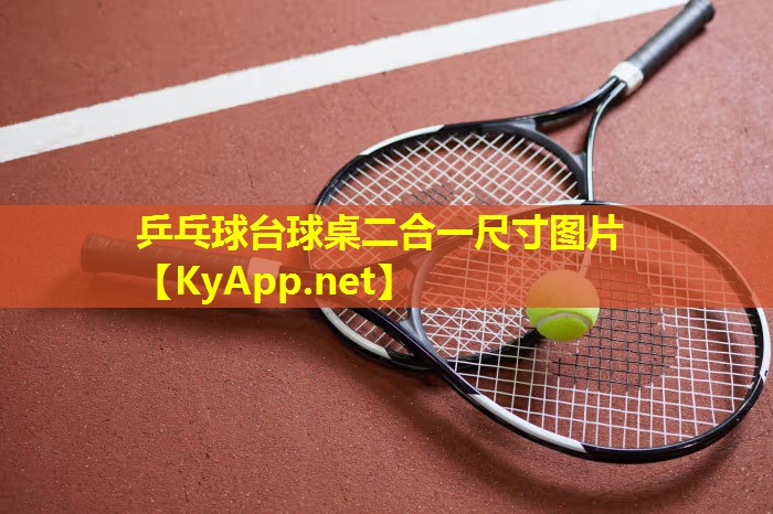 乒乓球台球桌二合一尺寸图片