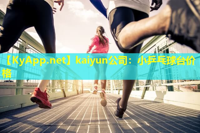 kaiyun公司：小乒乓球台价格
