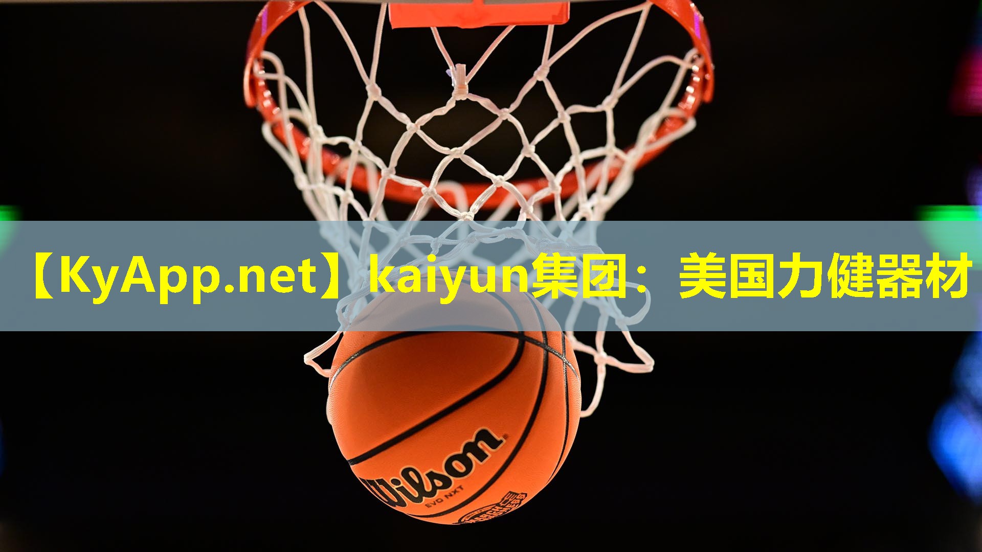 美国力健器材 美国力健器材