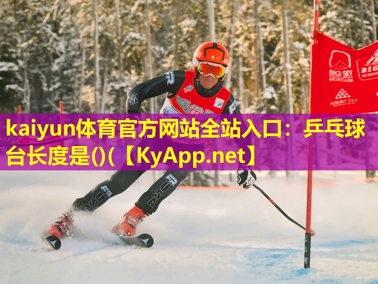 乒乓球台长度是()( 乒乓球台长度是()(