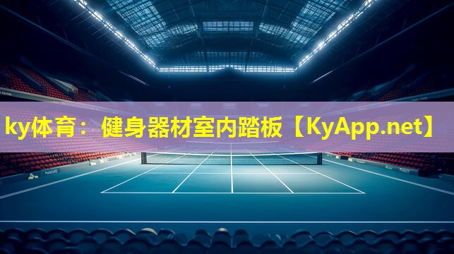 健身器材室内踏板 健身器材室内踏板
