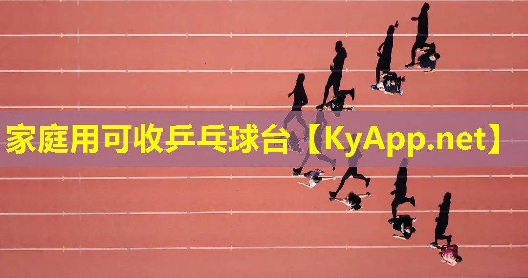 家庭用可收乒乓球台 家庭用可收乒乓球台