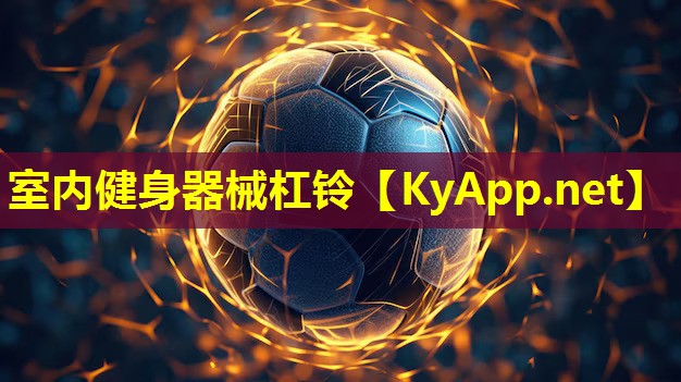 室内健身器械杠铃 室内健身器械杠铃
