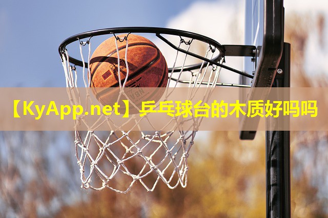 乒乓球台的木质好吗吗 乒乓球台的木质好吗吗