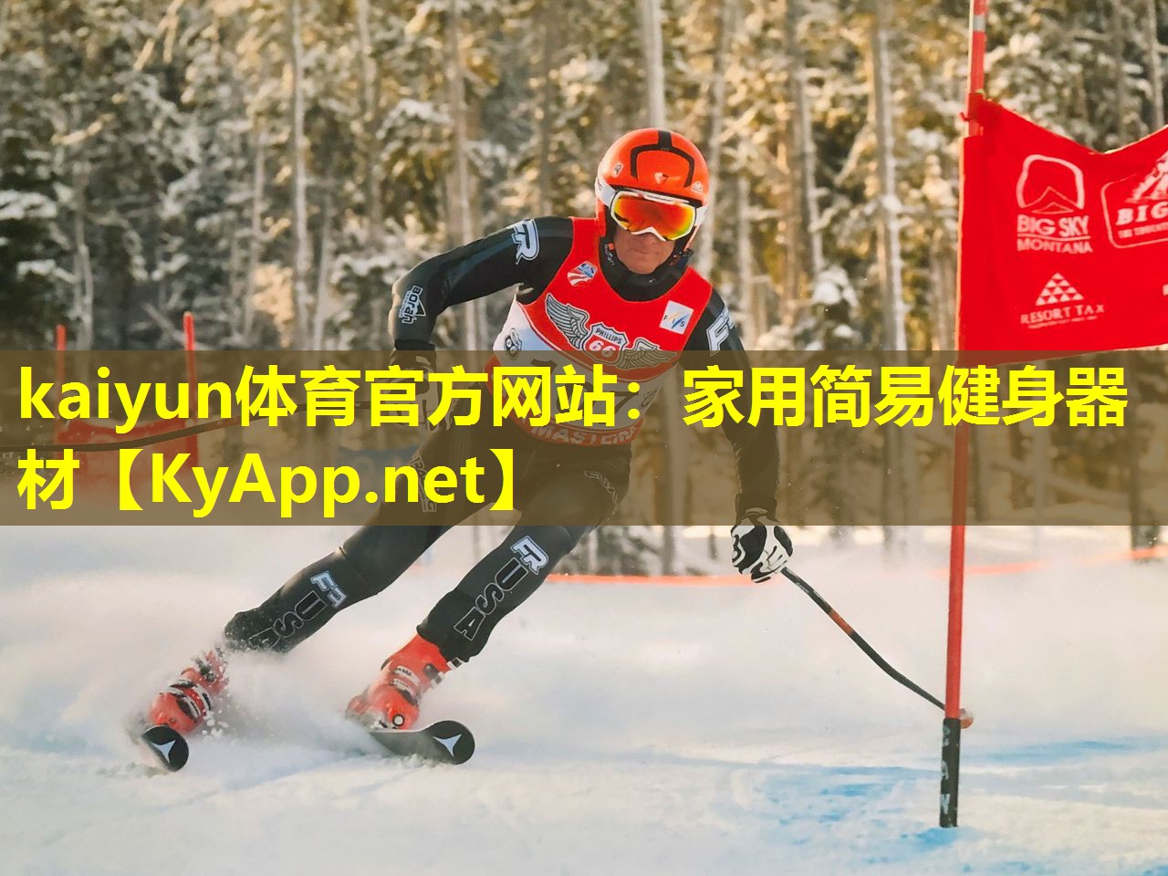 家用简易健身器材 家用简易健身器材