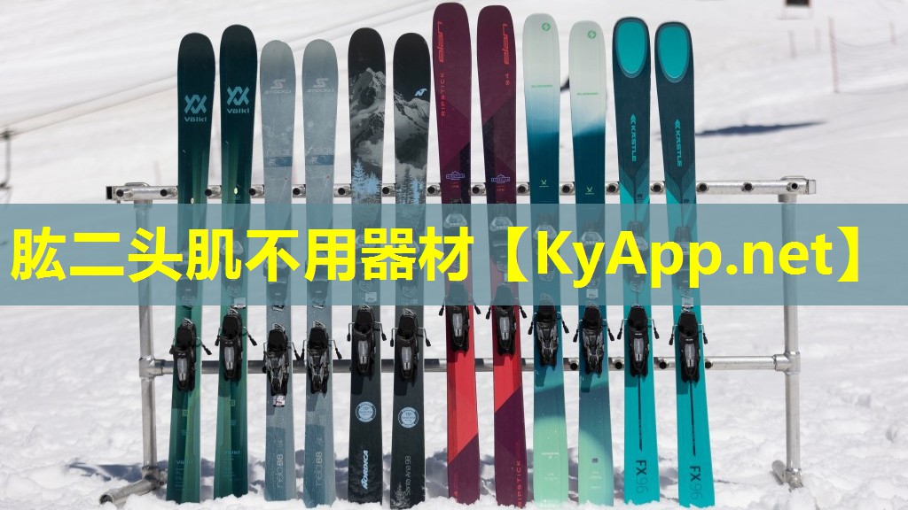 肱二头肌不用器材 肱二头肌不用器材