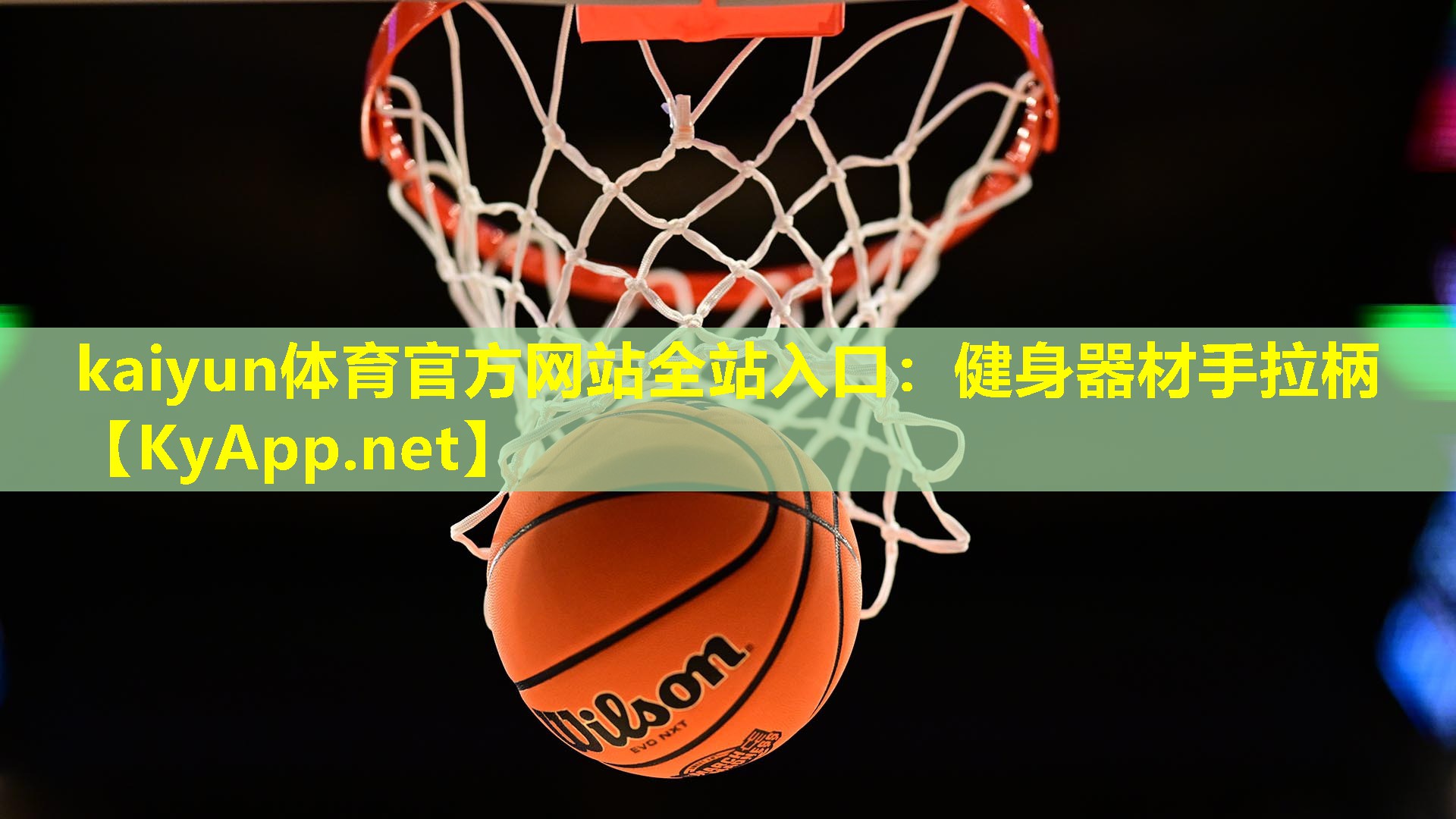 健身器材手拉柄 健身器材手拉柄