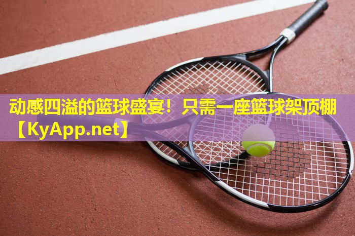 动感四溢的篮球盛宴!只需一座篮球架顶棚 动感四溢的篮球盛宴!只需一座篮球架顶棚