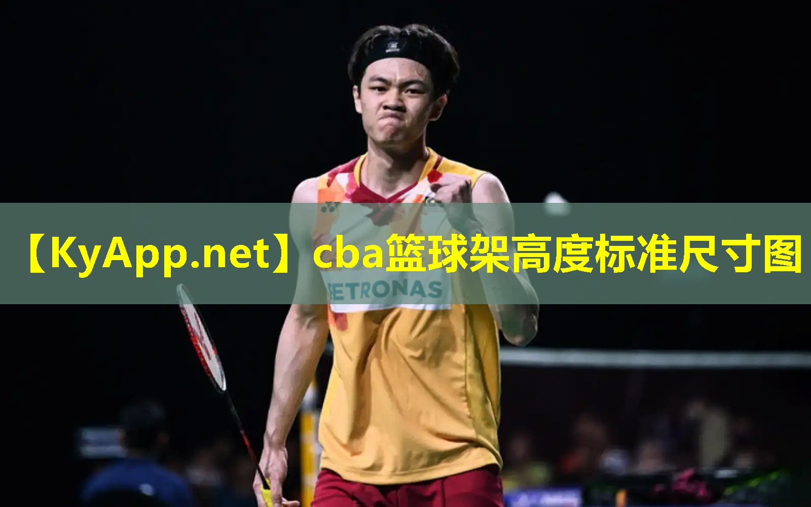 cba篮球架高度标准尺寸图 cba篮球架高度标准尺寸图