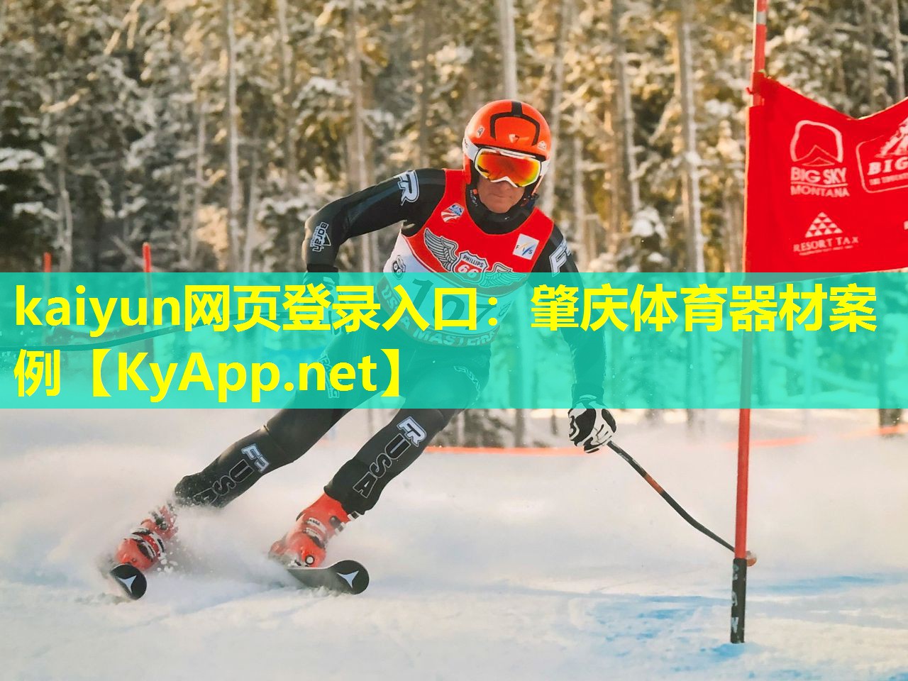 肇庆体育器材案例 肇庆体育器材案例