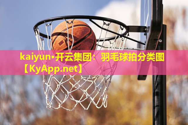 羽毛球拍分类图 羽毛球拍分类图