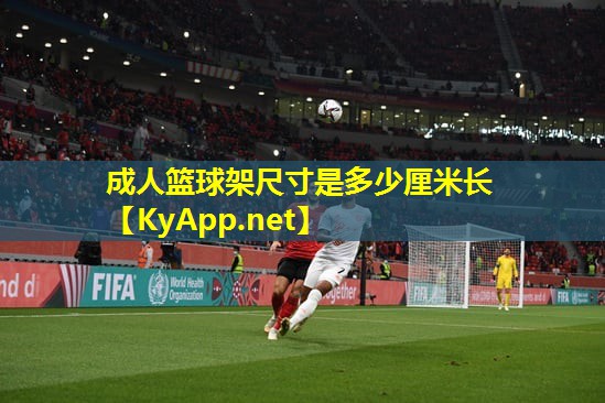 成人篮球架尺寸是多少厘米长 成人篮球架尺寸是多少厘米长
