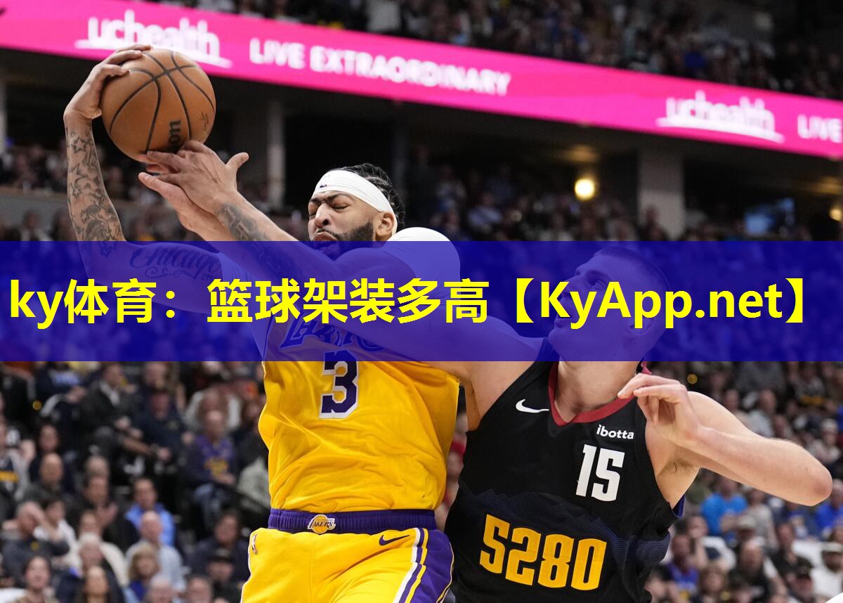 篮球架装多高 篮球架装多高