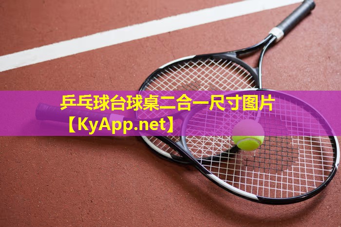 乒乓球台球桌二合一尺寸图片 乒乓球台球桌二合一尺寸图片