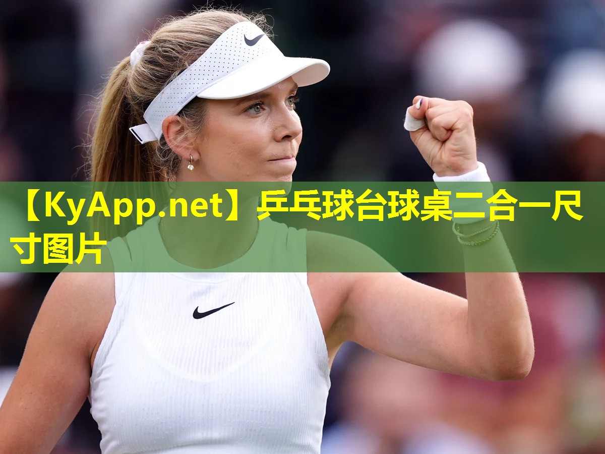 乒乓球台球桌二合一尺寸图片 乒乓球台球桌二合一尺寸图片