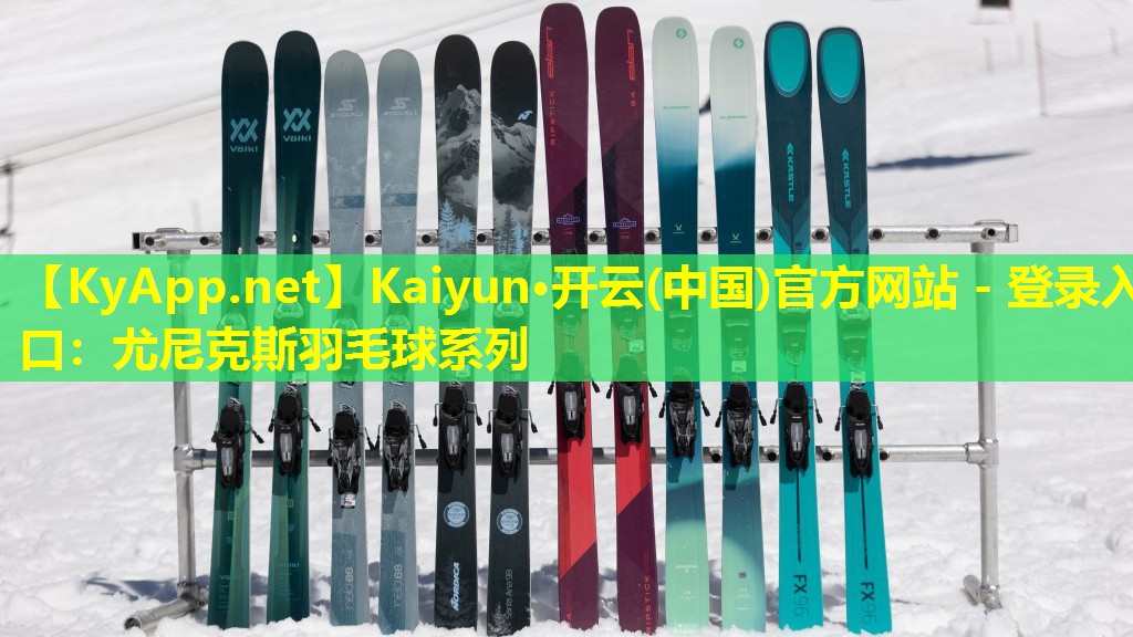 尤尼克斯羽毛球系列 尤尼克斯羽毛球系列