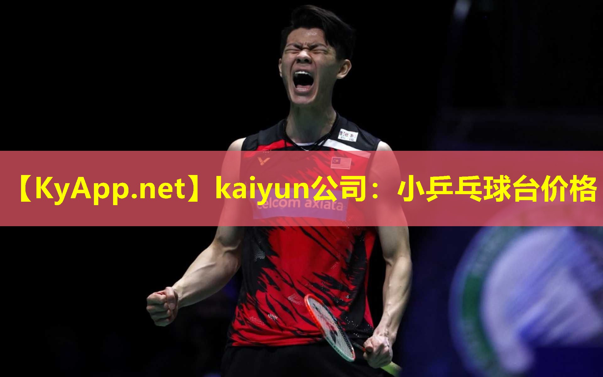小乒乓球台价格 小乒乓球台价格