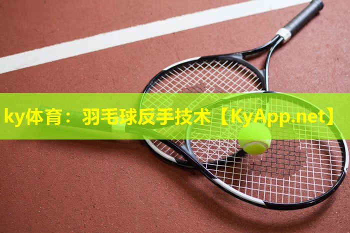 羽毛球反手技术 羽毛球反手技术