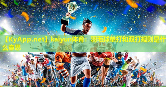 羽毛球单打和双打规则是什么意思